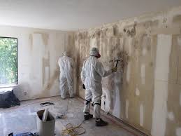 Best Water Damage & Mold Remediation in USA